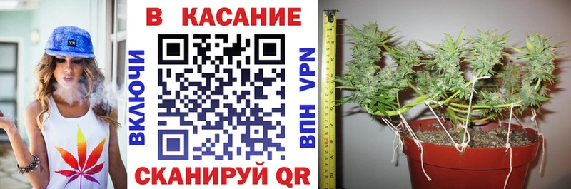 Купить наркотик аптеки Северская COCAIN  Мефедрон  СОЛЬ  Амфетамин  ГАШИШ 