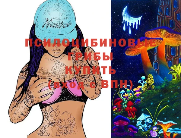 таблы Медвежьегорск