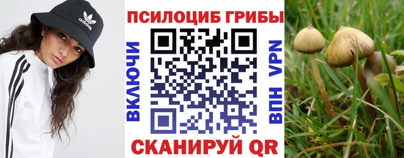 Галлюциногенные грибы Psilocybe  Северская 