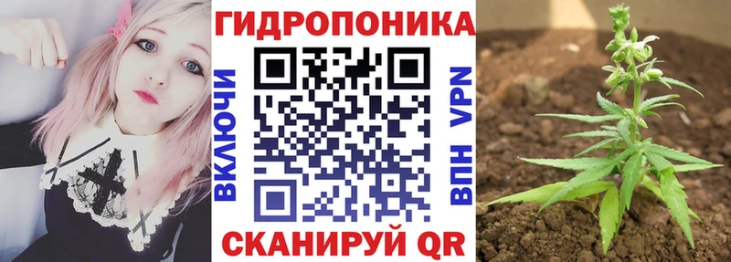 hydra ссылки  Северская  Марихуана Amnesia 
